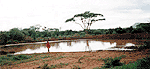 Waterhole