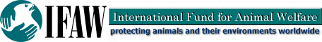 IFAW logo