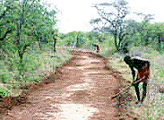 Road building