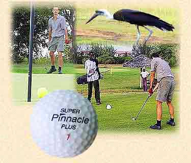 Pinewood Village Beach Resort Kenya - Golf