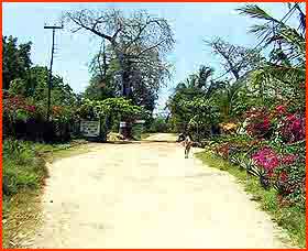 Pinewood Village Beach Resort_road